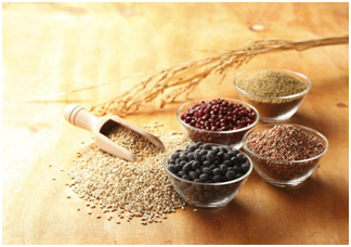 田坤道生态之家：有机养生五谷大米加盟朝阳产业致富蓝海