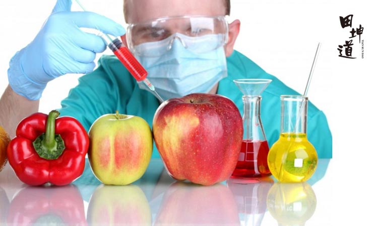 田坤道五谷杂粮：为什么不吃转基因食品？