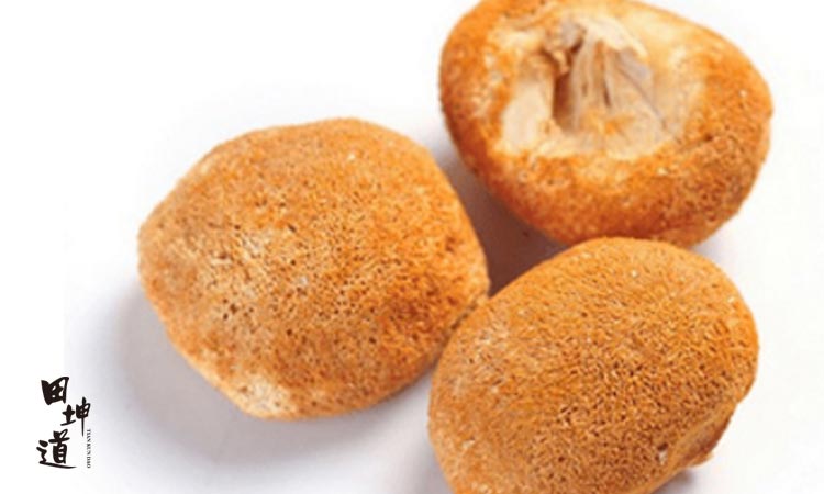 猴头菇要这样吃，才能换你健康好肠胃