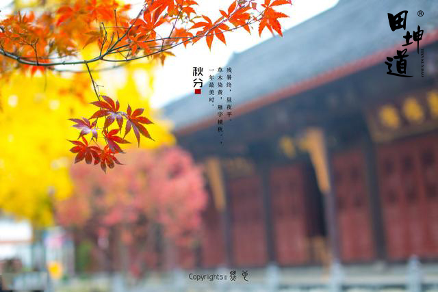 田坤道养生丨最干燥的季节，要健脾胃润肺脏