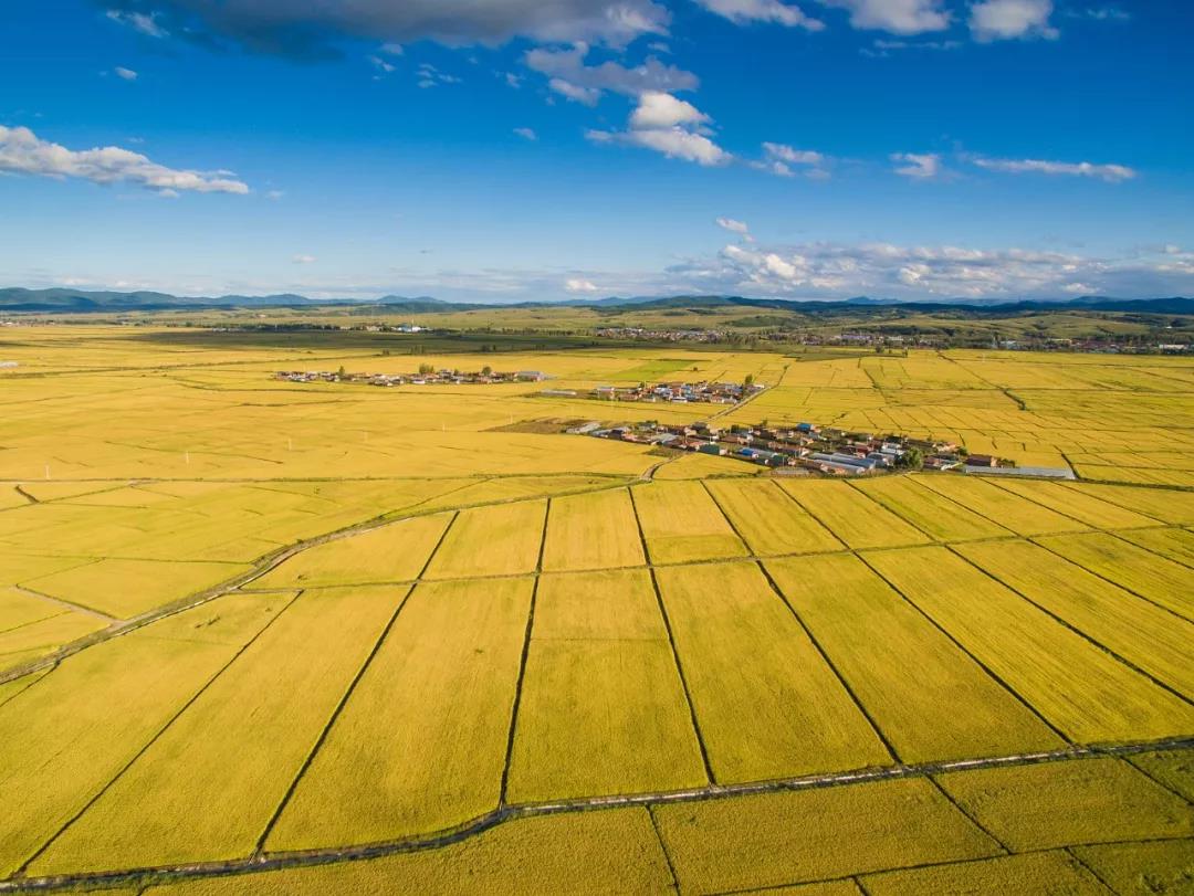 田坤道：这里是吉林白山巍巍，钟灵毓秀
