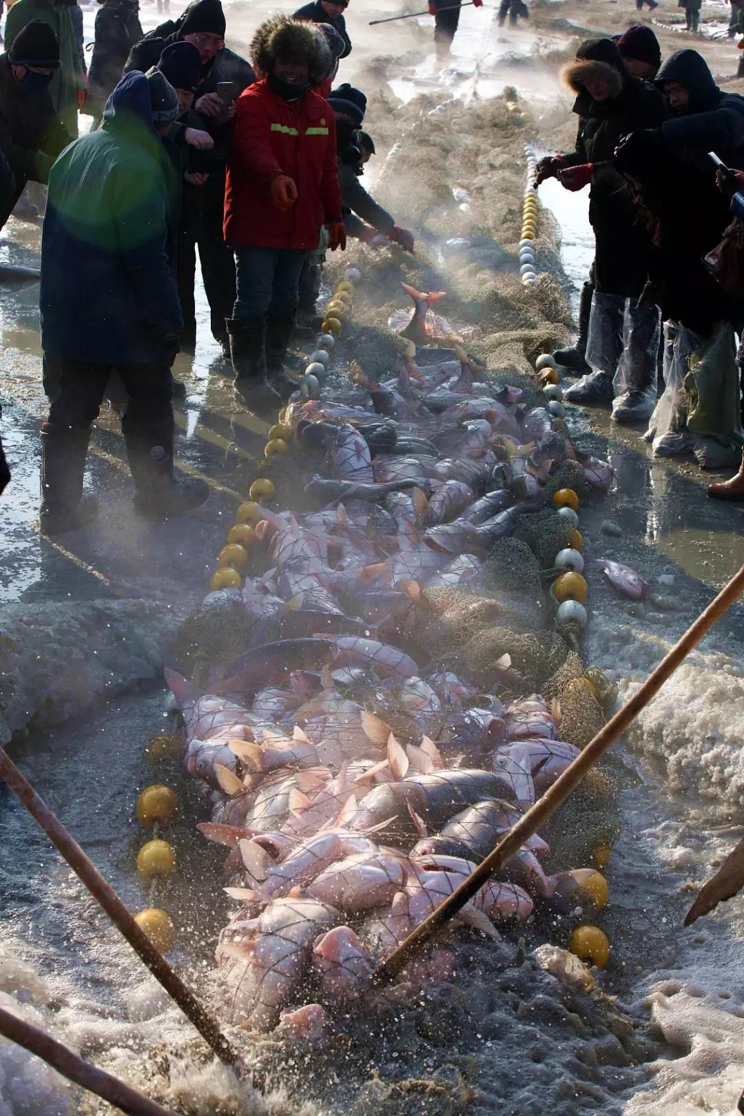 田坤道：这里是吉林豪爽豁达，有滋有味