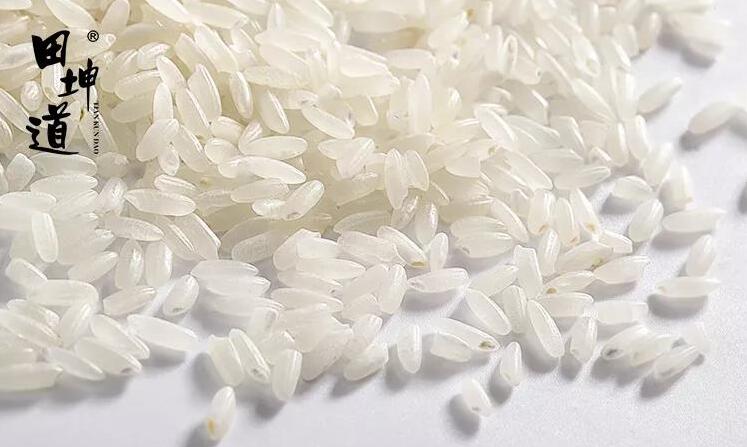 田坤道生态之家：米之诗