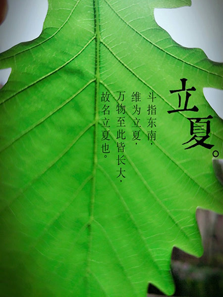 田坤道生态之家：春意阑珊，立夏始来