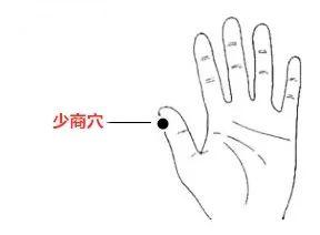 田坤道养生食品店：五指“养生学”