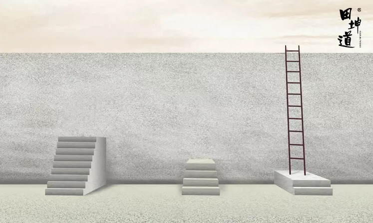 你不努力，谁能替你成功  !