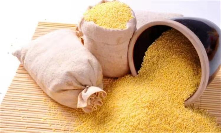 田坤道生态小米，健康营养，暖心又暖胃！