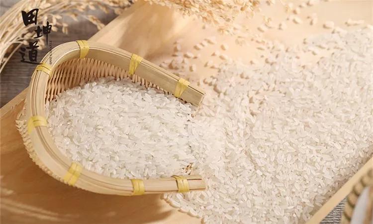 讲真，你有可能活的还不如一粒田坤道大米