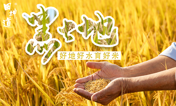为何田坤道大米跻身全国大米十强前列