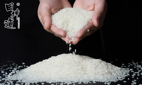 开大米粮油店去哪里进货