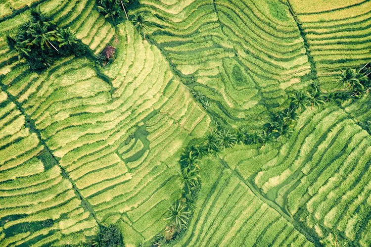 田坤道养生食品店：最好的养生是顺其自然