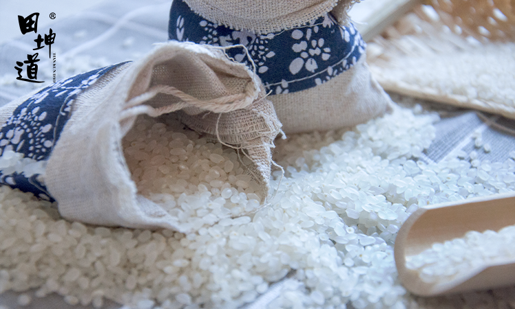 田坤道分析：现在做什么生意赚钱投资小利润大