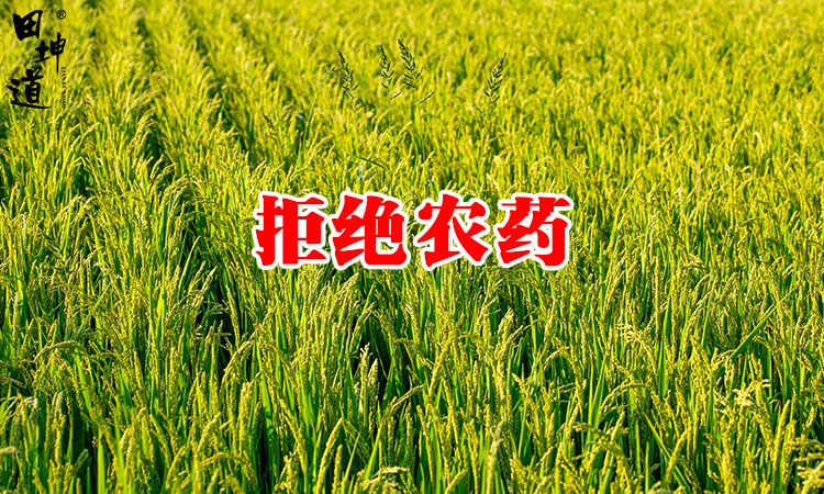 核污水排海的大环境下，消费者更应注重食品的绿色和健康