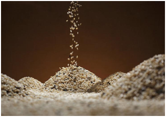 田坤道生态之家：现代农特产社区店品牌产品优势