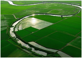 田坤道有机大米加盟店，致富速度快准稳
