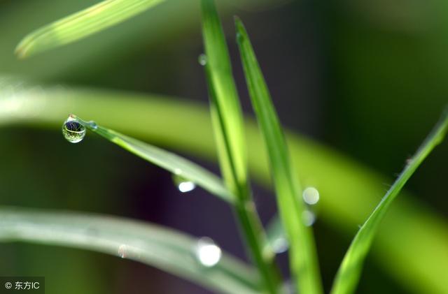 田坤道生态之家：白露养生技巧
