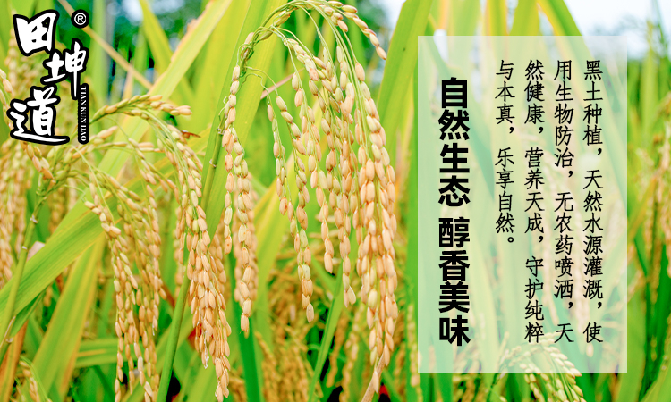 田坤道｜妈妈们都在选的健康粮油，田坤道成就家庭饮食健康