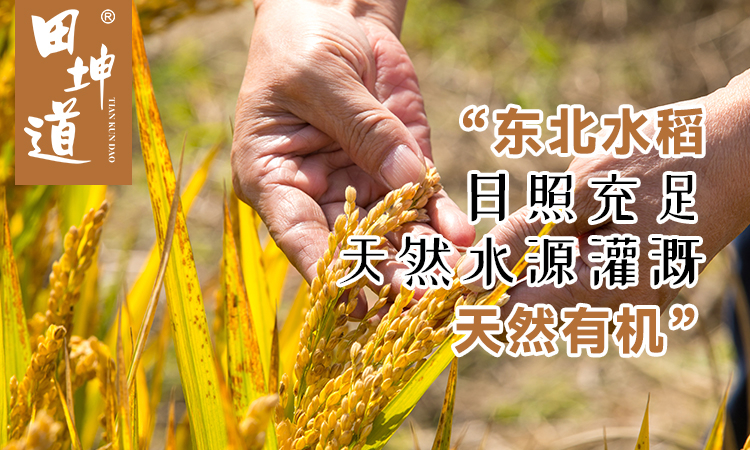 田坤道｜用天然之道，打造生态粮油品牌新高度