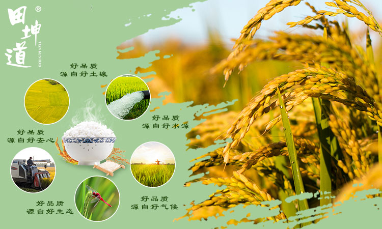 田坤道｜用生态力量打造粮油行业新高度