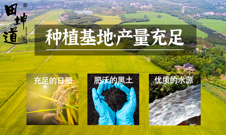 田坤道｜生态粮油引领健康饮食新趋势