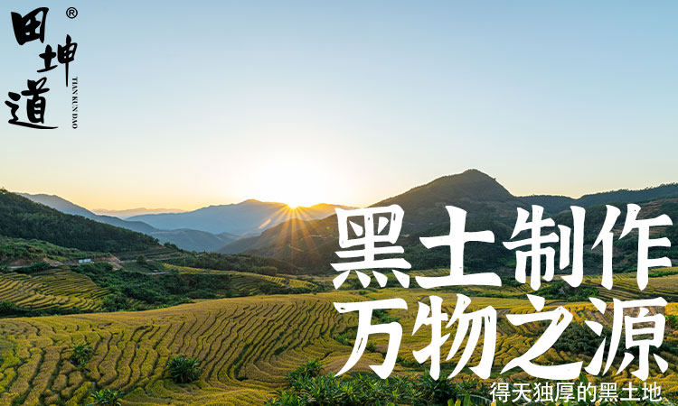 健康消费浪潮之巅：选择田坤道，抢占生态粮油万亿市场新风口