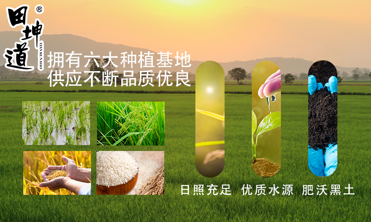 田坤道：用生态力量诠释粮油品牌新未来