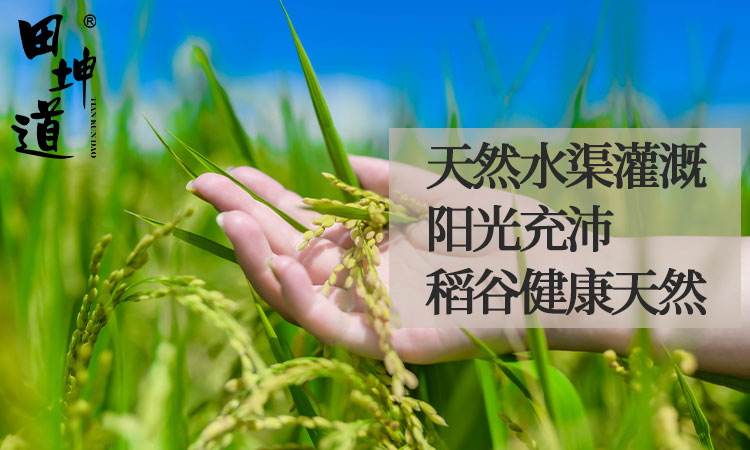 田坤道：从东北自有基地到餐桌，打造天然安心之选