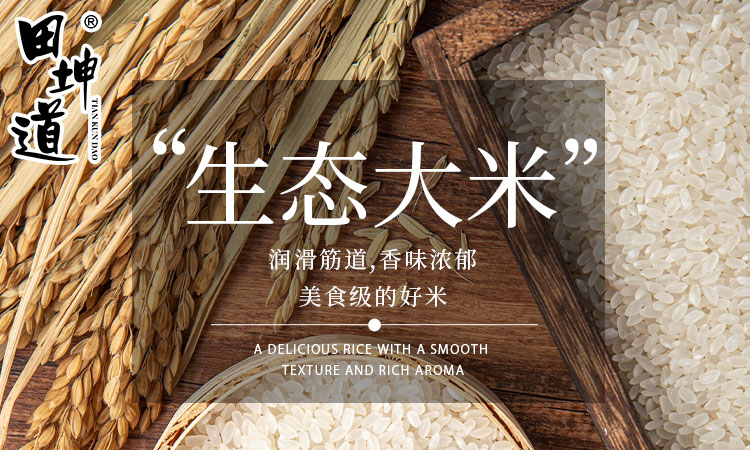 田坤道：优质粮油创业项目，成就财富未来